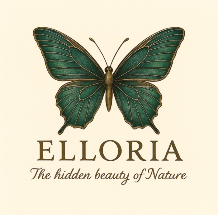 Elloria