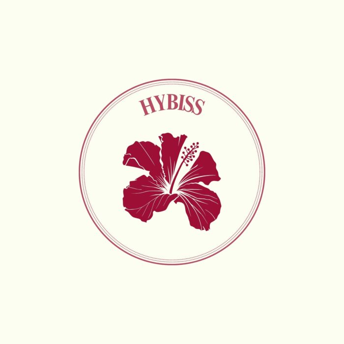 Hybiss